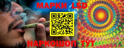 индика Гатчина