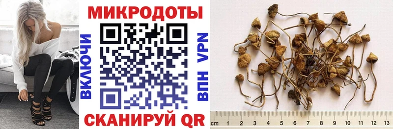 blacksprut ссылки  Ишимбай  Псилоцибиновые грибы Psilocybine cubensis  купить наркоту 